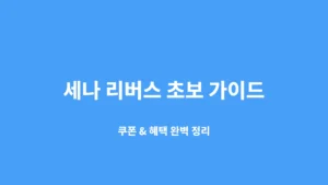 파란 배경에 ‘세나 리버스 초보 가이드’와 레이첼 캐릭터가 포함된 블로그 썸네일